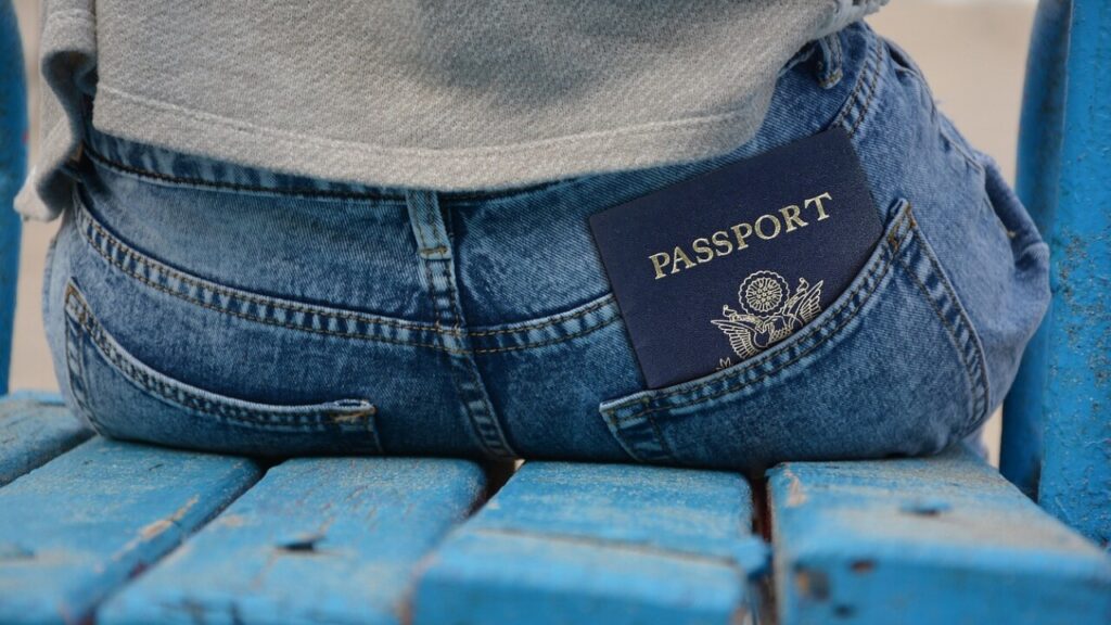 Télécharger le contrat de saillie en PDF gratuit