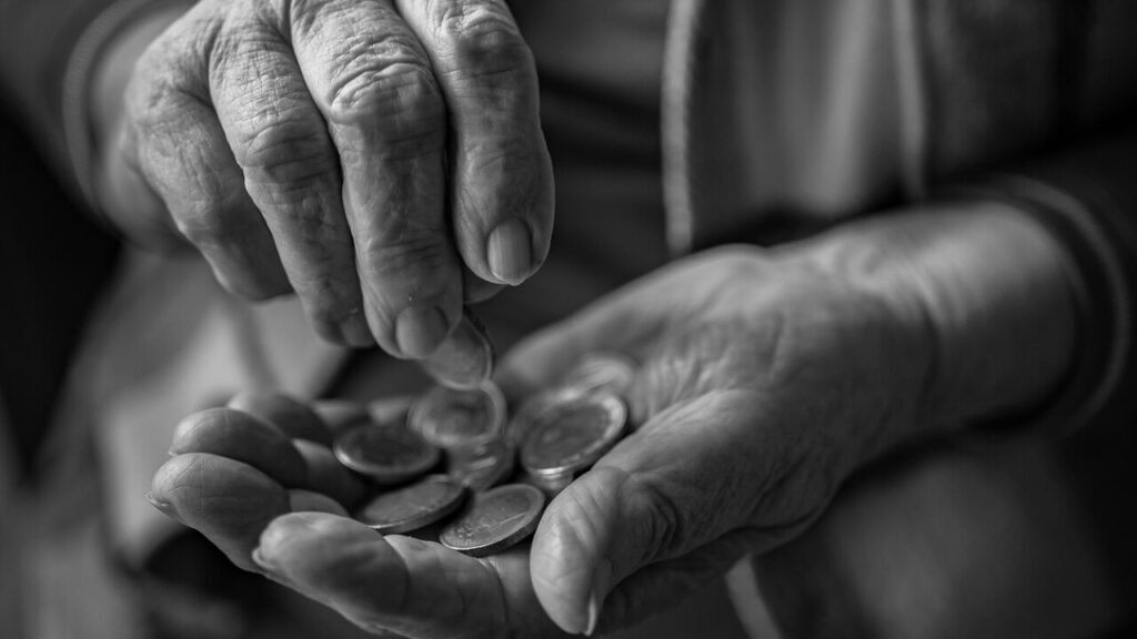 Télécharger le contrat demi pension chevaux en PDF gratuit